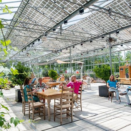 Achterhoeks Goed, Bed & Breakfast In Vragender 外观 照片