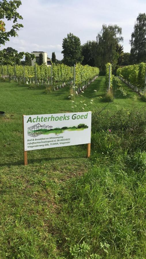 Achterhoeks Goed, Bed & Breakfast In Vragender 外观 照片