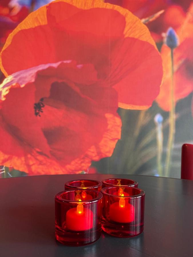 Achterhoeks Goed, Bed & Breakfast In Vragender 外观 照片
